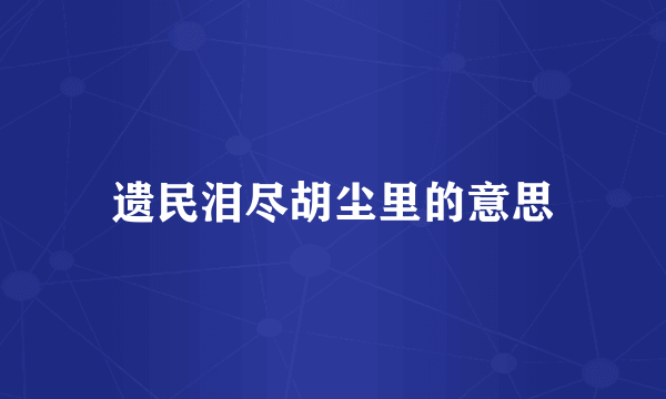 遗民泪尽胡尘里的意思