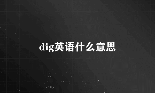 dig英语什么意思