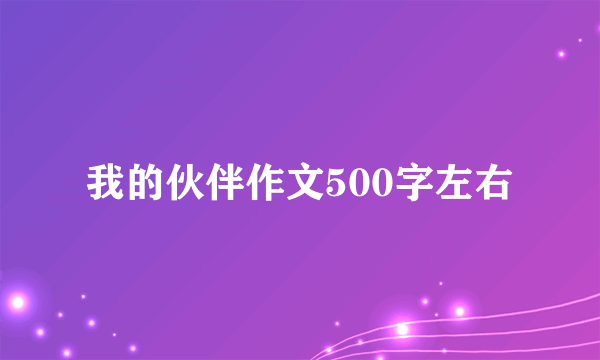 我的伙伴作文500字左右