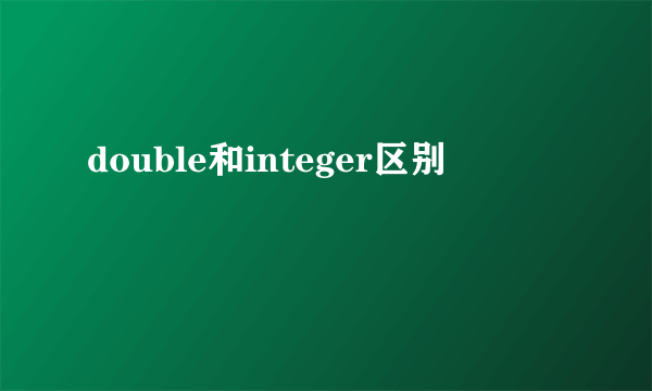 double和integer区别