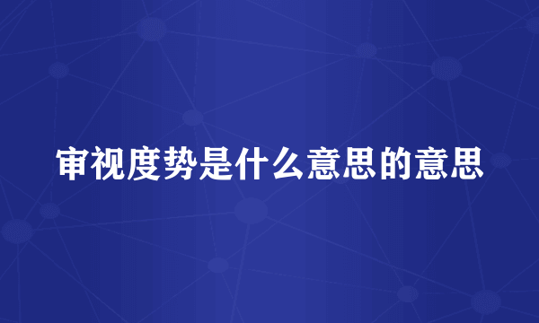 审视度势是什么意思的意思