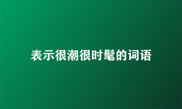 表示很潮很时髦的词语
