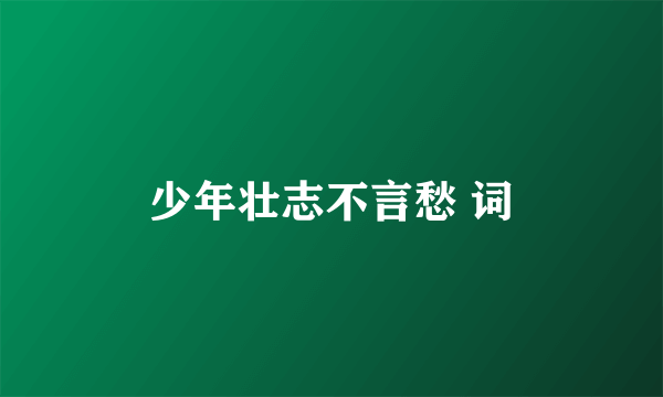 少年壮志不言愁 词