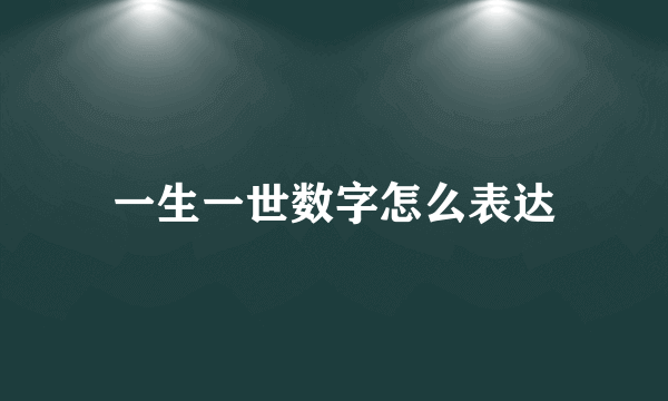 一生一世数字怎么表达