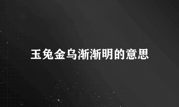 玉兔金乌渐渐明的意思