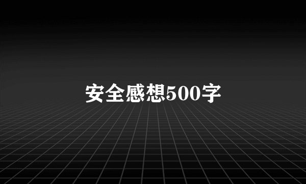 安全感想500字