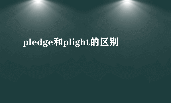 pledge和plight的区别