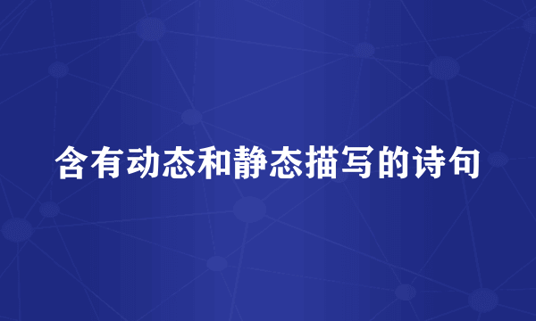 含有动态和静态描写的诗句