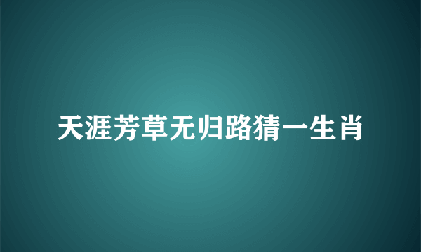 天涯芳草无归路猜一生肖