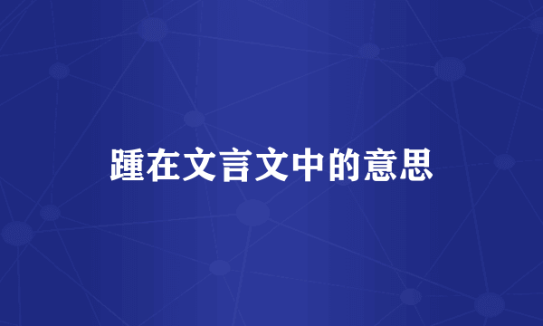 踵在文言文中的意思