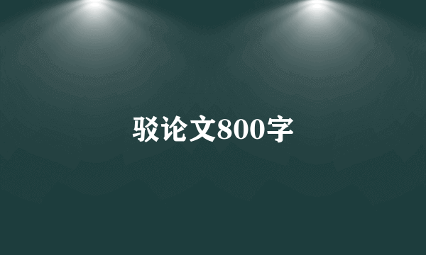 驳论文800字
