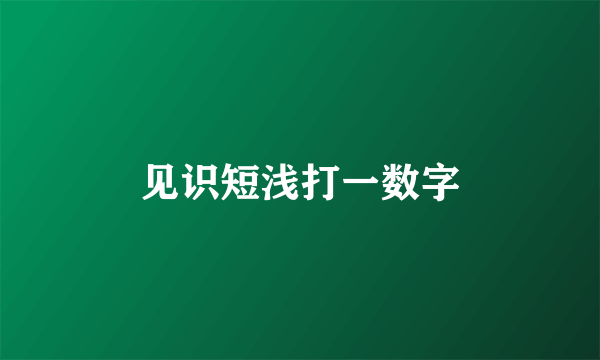 见识短浅打一数字