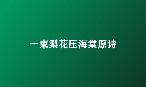 一束梨花压海棠原诗