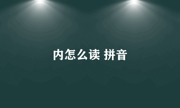 内怎么读 拼音