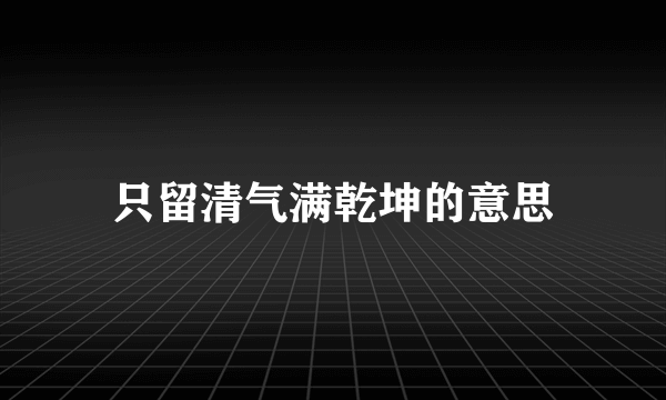 只留清气满乾坤的意思