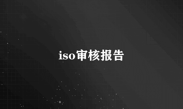 iso审核报告