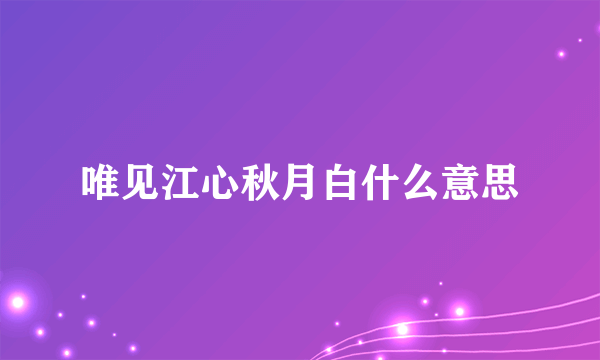 唯见江心秋月白什么意思