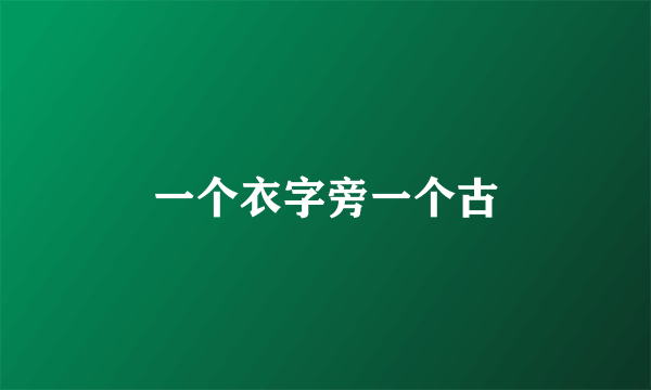 一个衣字旁一个古