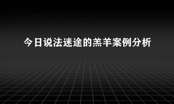 今日说法迷途的羔羊案例分析