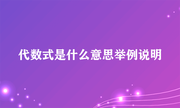 代数式是什么意思举例说明