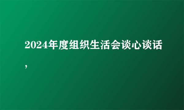 2024年度组织生活会谈心谈话,