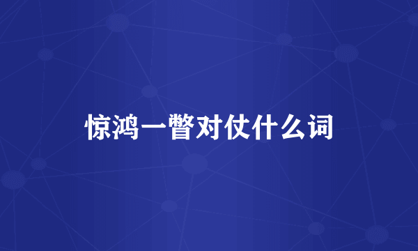 惊鸿一瞥对仗什么词