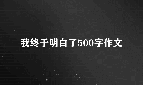 我终于明白了500字作文