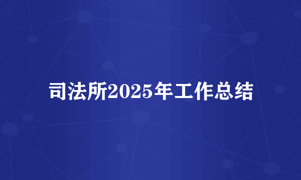 司法所2025年工作总结