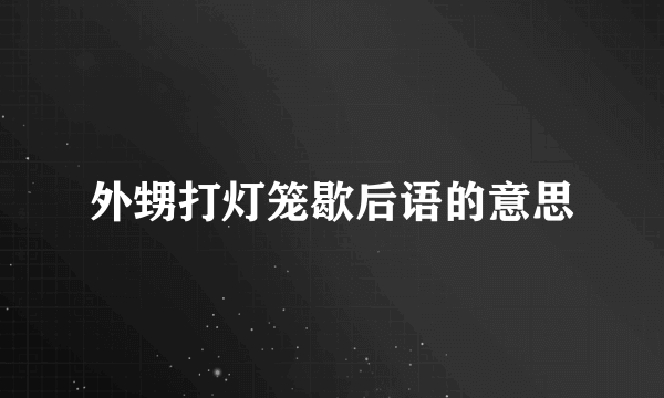 外甥打灯笼歇后语的意思
