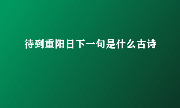 待到重阳日下一句是什么古诗