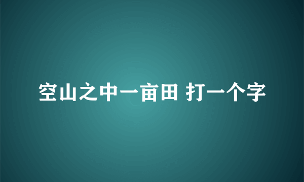 空山之中一亩田 打一个字