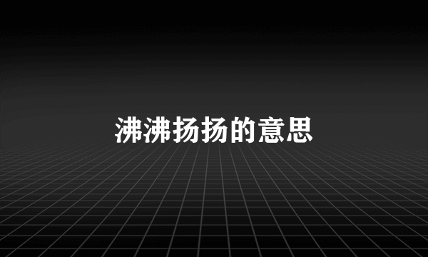 沸沸扬扬的意思