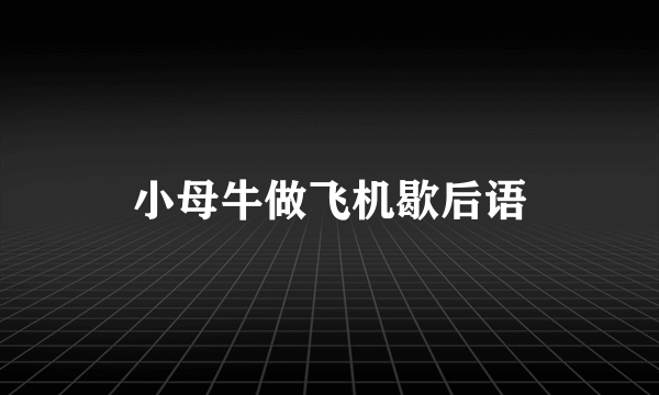 小母牛做飞机歇后语