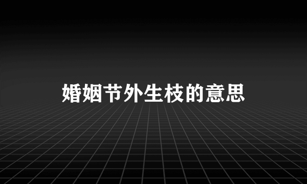婚姻节外生枝的意思