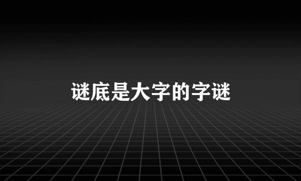 谜底是大字的字谜