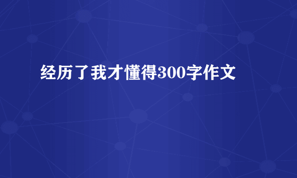 经历了我才懂得300字作文