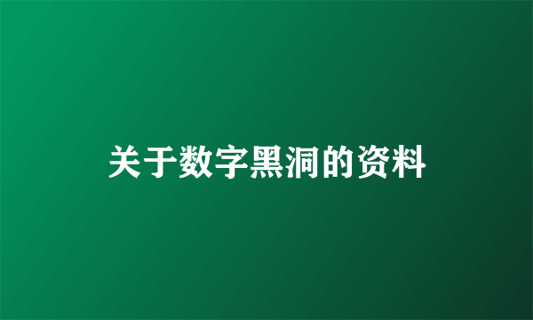 关于数字黑洞的资料