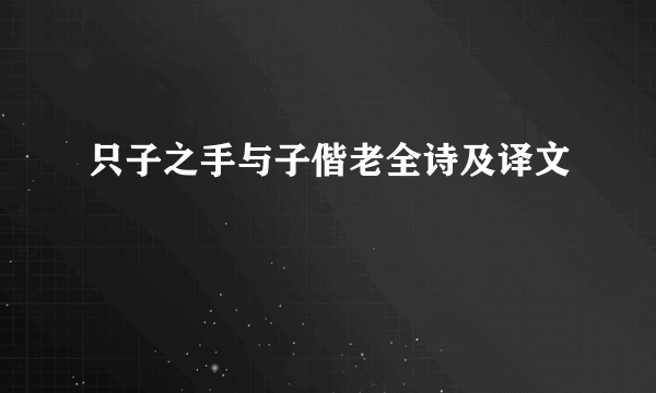 只子之手与子偕老全诗及译文