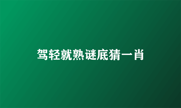 驾轻就熟谜底猜一肖