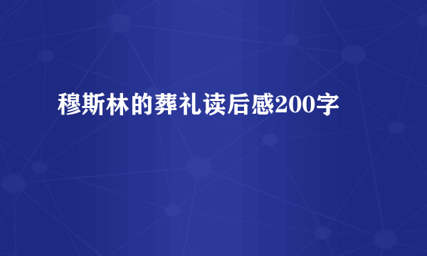 穆斯林的葬礼读后感200字