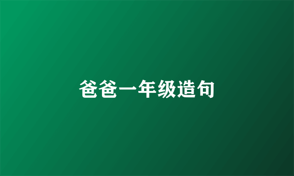 爸爸一年级造句