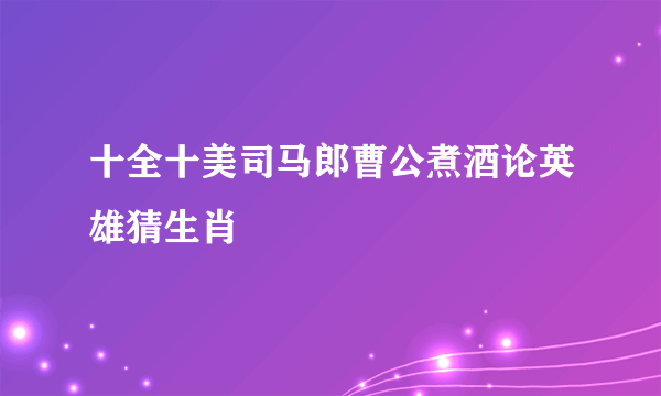 十全十美司马郎曹公煮酒论英雄猜生肖