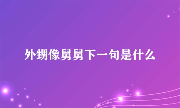外甥像舅舅下一句是什么
