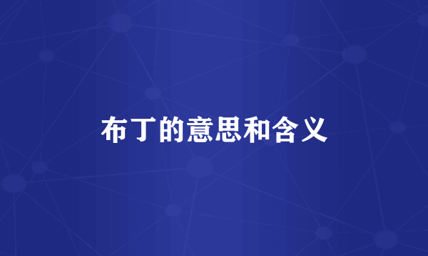 布丁的意思和含义