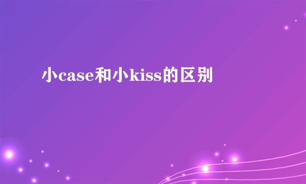 小case和小kiss的区别