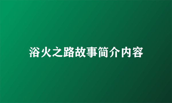 浴火之路故事简介内容