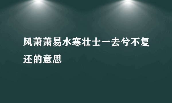 风萧萧易水寒壮士一去兮不复还的意思