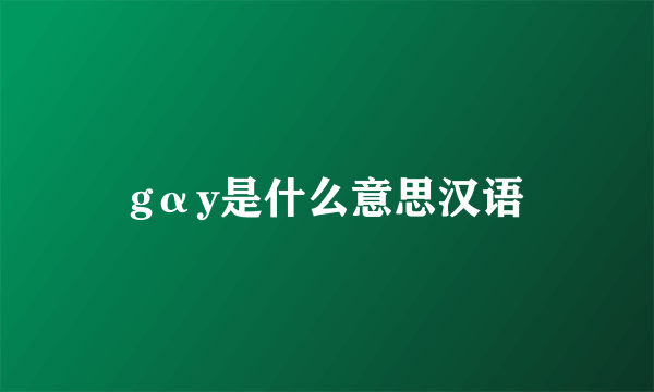 gαy是什么意思汉语