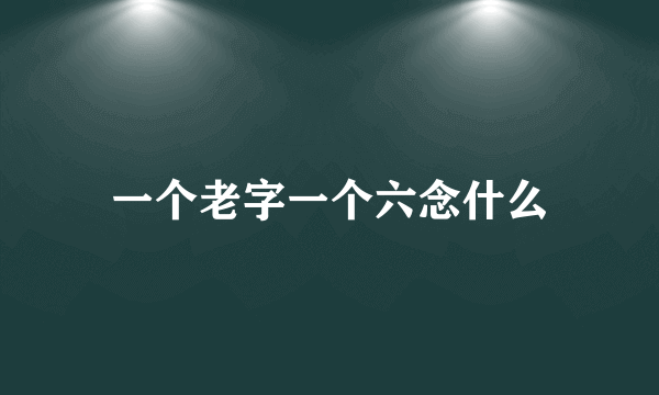 一个老字一个六念什么