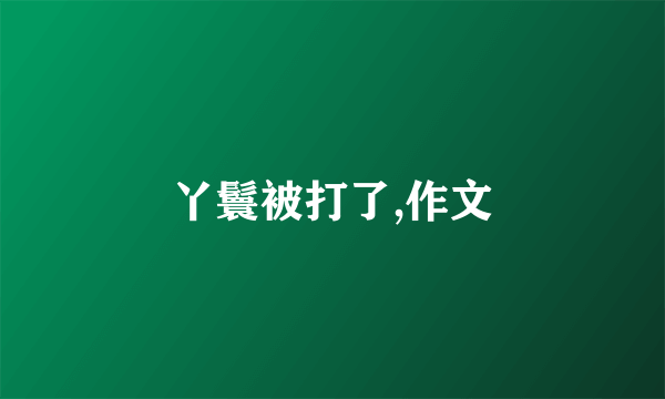 丫鬟被打了,作文